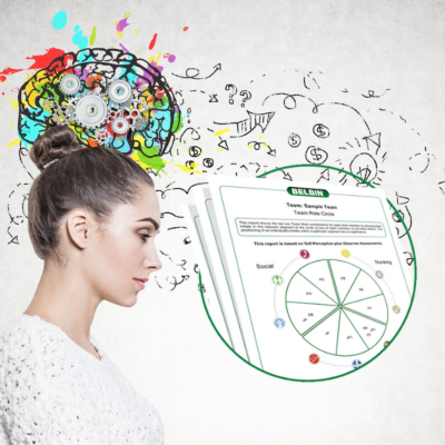 Belbin Team Roles